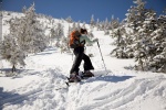 Skituring & Splitboarding w Tatrach