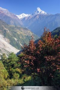 Trekking do Sanktuarium Annapurny
