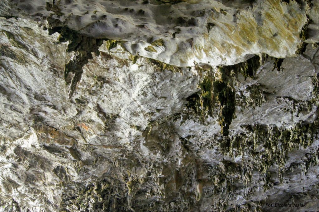Jaskinia nietoperzy