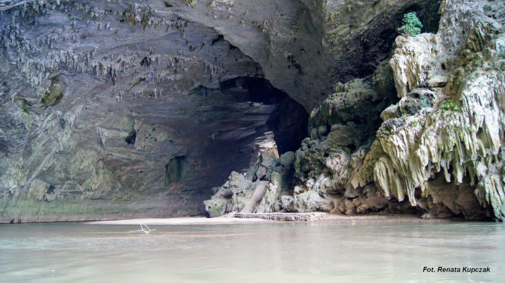 Jaskinia nietoperzy