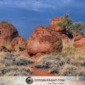 W poszukiwaniu Tęczowego Węża* – Australia Outback